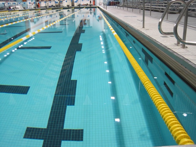 Olympic-size swimming pool with lane markers and starting blocks